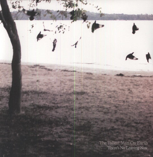 The Tallest Man on Earth: There's No Leaving Now - VINYL LP