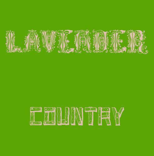 Lavender Country: Lavender Country - VINYL LP