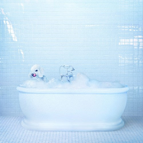 Frankie Cosmos: Vessel - VINYL LP