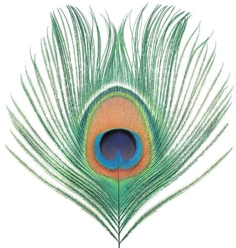 XTC: Apple Venus Vol 1 - VINYL LP