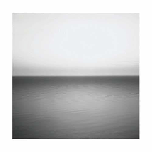 U2: No Line On The Horizon - VINYL LP