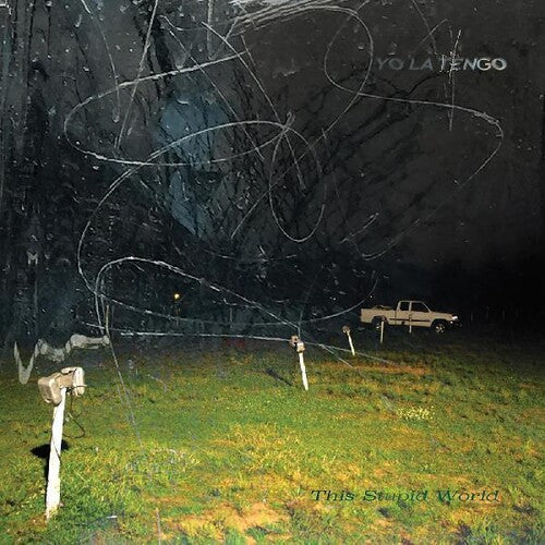 Yo La Tengo: This Stupid World - VINYL LP