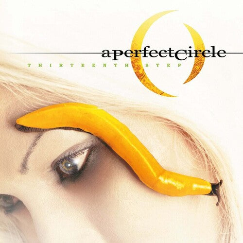 A Perfect Circle: Thirteenth Step - VINYL LP